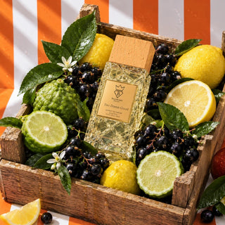 Byredo Bal d'Afrique Absolu Fans, Meet Too Damn Good by Bujairami