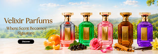 Velixir Parfums Singapore
