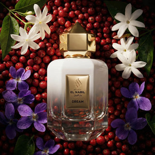 Maison El Nabil Dream 65ml EDP perfume in Singapore