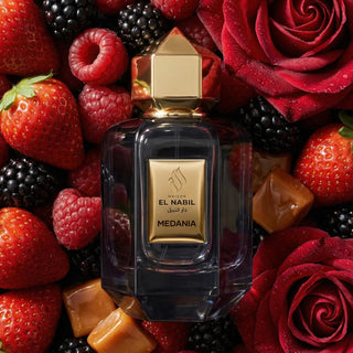 Maison El Nabil Medania EDP perfume in Singapore