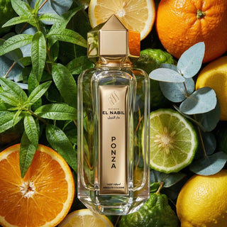 Maison El Nabil absolute cologne perfume store in Singapore