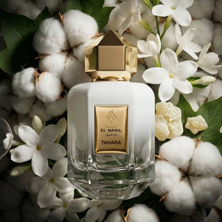 Maison El Nabil Tahara EDP perfume for women in Singapore