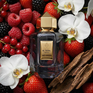 Maison El Nabil Yathreeb EDP perfume in Singapore
